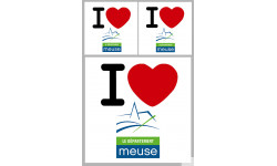 Département 55 la Meuse (1fois 10cm / 2 fois 5cm) - Sticker/autocollant